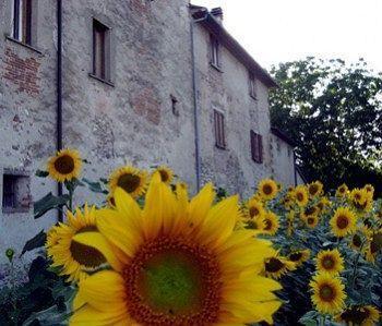 Villa La Casa Nova à Sansepolcro Extérieur photo